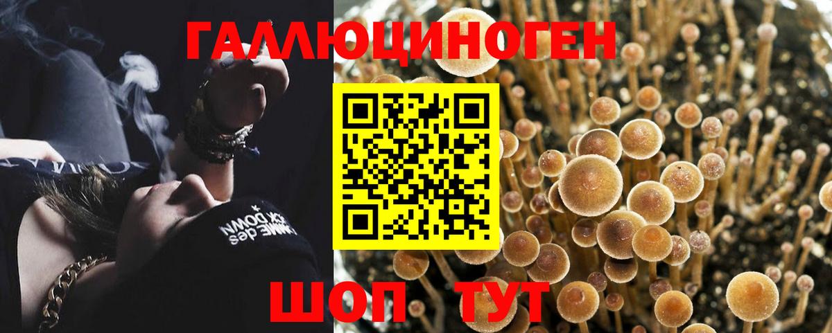 Псилоцибиновые грибы MAGIC MUSHROOMS Янаул